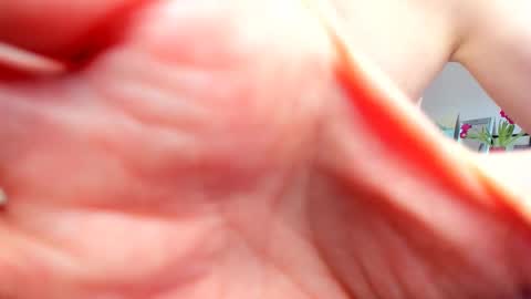 Wilhelmina better Willy online show from February 2025 09:55:01 AM