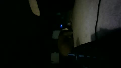 Willhedoher online show from October 2025 12:27:01 PM