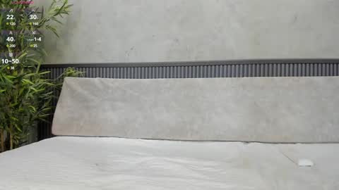 Ms Willow online show from February 2025 02:24:01 PM