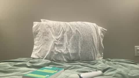 Snapshot of willowwilder chatting on January 2025 04:11:02 AM Willow online show from January 2025 04:11:02 AM