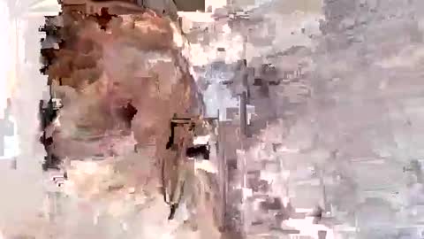 willytal2025 online show from January 2026 07:19:01 PM