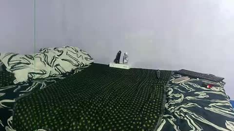 wilmaassylum online show from December 2024 11:50:02 AM