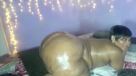 wilmaassylum online show from October 2025 10:36:01 AM