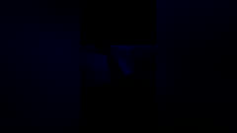 windowplug online show from March 2026 12:01:02 PM