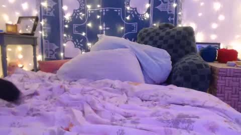 Eevie online show from December 2024 06:23:01 AM