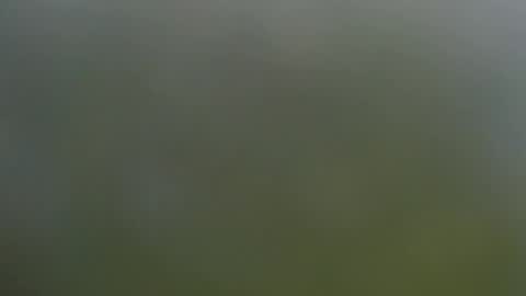 Wisa Randy online show from November 2025 06:08:01 PM