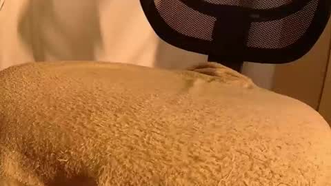 Mater online show from November 2025 05:44:02 PM