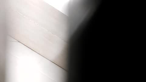 wittzel online show from February 2026 10:29:01 AM