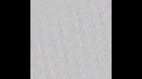 wnhz27 online show from November 2025 10:37:02 AM