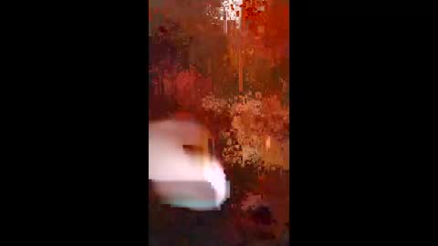 Snapshot of woalse32 chatting on November 2025 06:35:01 AM Topic the Rapper online show from November 2025 06:35:01 AM