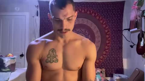 Snapshot of wolfblazer5 chatting on February 2025 10:24:02 AM Wolfblazer online show from February 2025 10:24:02 AM