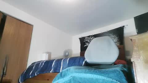 wolfman79 online show from June 2026 10:47:02 AM