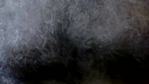 WoodieSays online show from October 2025 04:20:02 PM