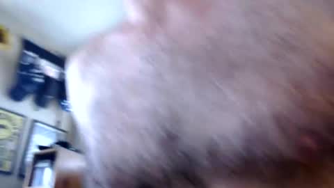 WoodieSays online show from February 2026 04:36:02 PM