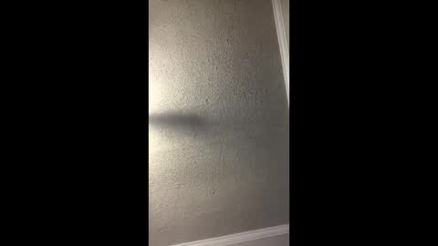 Woodpipe69 online show from December 2024 03:01:01 PM