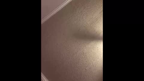 Woodpipe69 online show from October 2025 02:47:01 PM