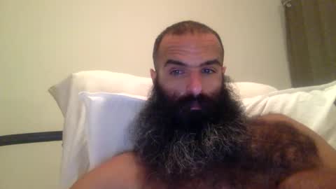 woof_wolf37 online show from February 2026 05:41:01 AM