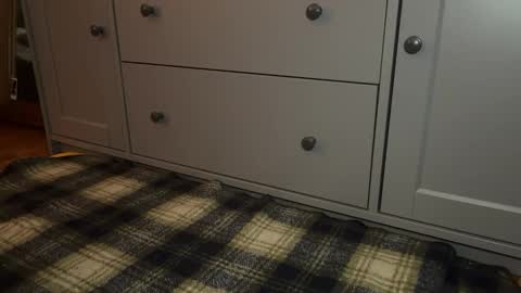 Sage online show from December 2025 04:25:02 PM