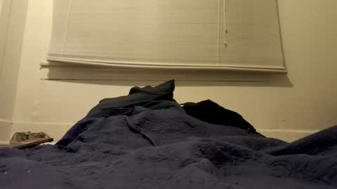 Tslexislut online show from April 2026 09:34:01 AM