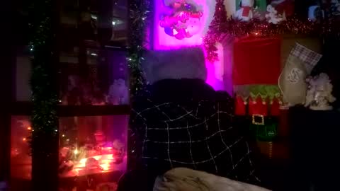 SCOOTER online show from November 2025 06:19:02 PM