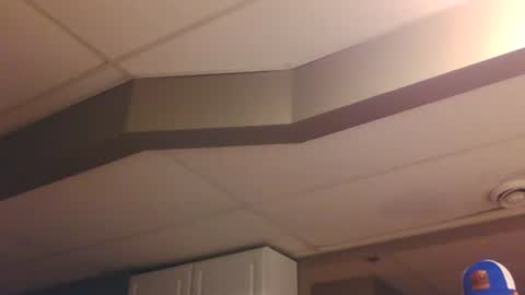 BONER DONOR online show from January 2025 06:14:01 PM