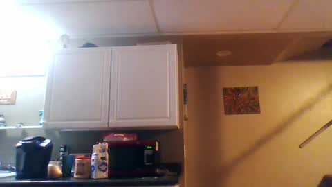 BONER DONOR online show from January 2025 11:33:01 AM