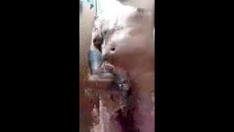 Blk online show from March 2026 11:38:01 PM