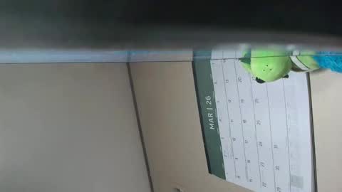 x_man2026 online show from March 2026 02:37:01 AM