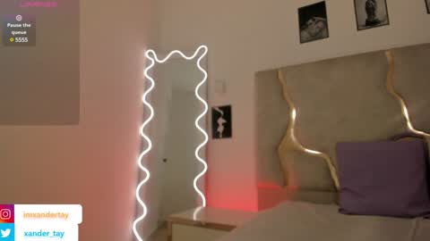 Snapshot of xander_tay chatting on February 2025 11:55:02 PM ISSANDER online show from February 2025 11:55:02 PM