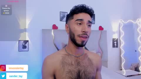 Snapshot of xander_tay chatting on February 2025 07:38:02 PM ISSANDER online show from February 2025 07:38:02 PM