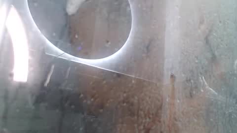 Andres online show from February 2025 11:42:01 AM