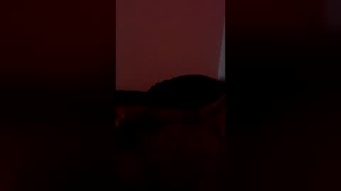 xannydaddy online show from July 2026 05:03:01 AM