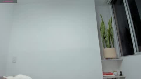 Xavier online show from November 2025 12:54:02 AM