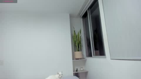 Xavier online show from December 2025 11:32:01 PM