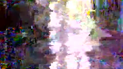 Snapshot of xixo6969 chatting on February 2026 02:53:01 AM xixo6969 online show from February 2026 02:53:01 AM