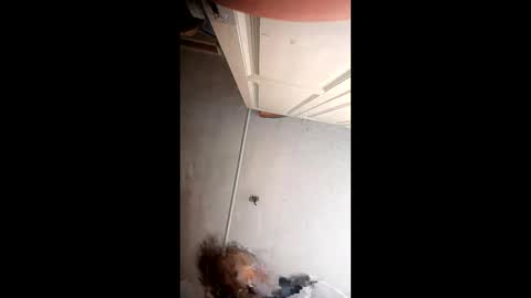 Snapshot of xlwi77 chatting on May 2026 10:22:02 PM xlwi77 online show from May 2026 10:22:02 PM