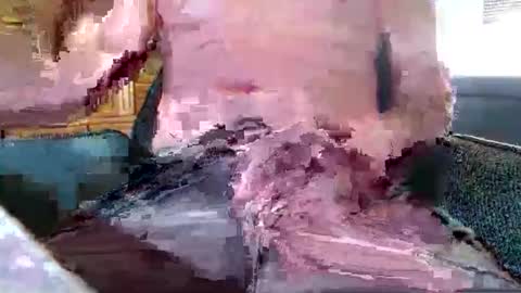 xmen43hot online show from September 2025 08:49:02 AM