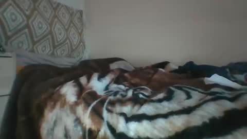 Horny hotty online show from December 2024 12:13:01 PM