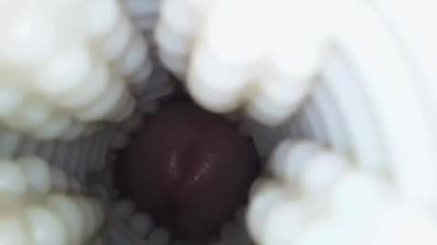 xoxowtf online show from January 2026 04:26:02 AM