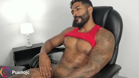 Snapshot of xtipp3r chatting on June 2026 01:06:02 PM Stipp3r online show from June 2026 01:06:02 PM