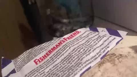 xvoyeur2011x online show from April 2026 07:34:02 PM