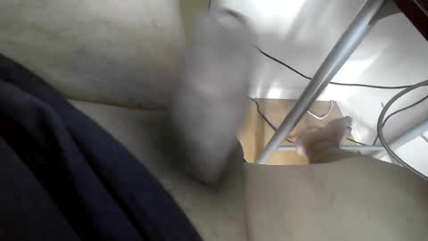 xxenryxx92 online show from June 2026 04:20:01 PM