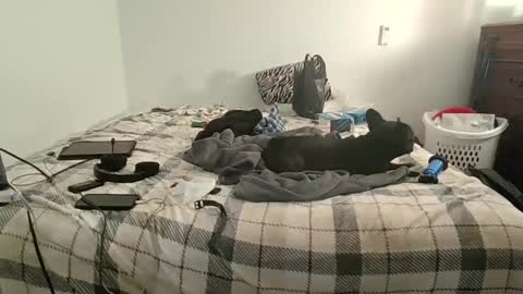 XxJasoncxX online show from December 2024 06:33:02 AM