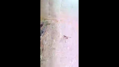 xxjessiebugxx online show from May 2026 03:26:01 AM