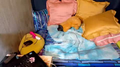 xxloveheart online show from September 2025 06:29:02 AM