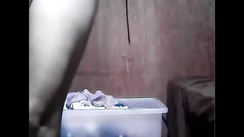 xxstacy_hottie online show from February 2025 03:40:01 AM