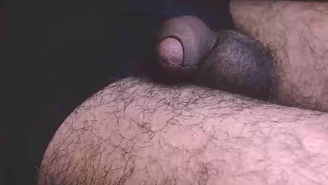 Prince online show from February 2026 07:04:02 AM