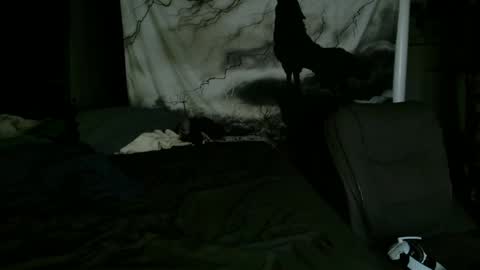 xxxjrstrokesxxx online show from January 2025 02:15:01 AM