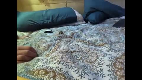 Xzbib online show from March 2025 12:29:01 AM