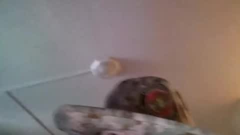 yahushuaha online show from September 2025 07:13:01 PM